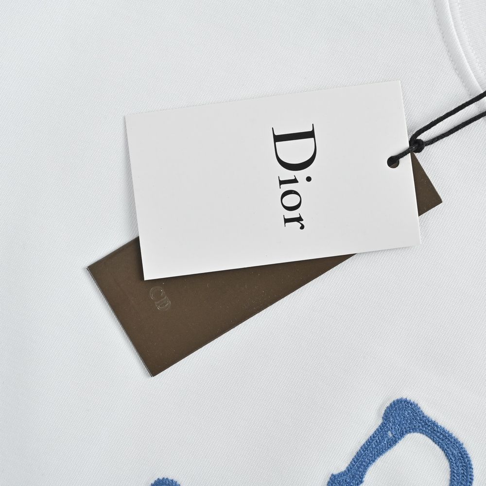Dior T-shirts-345
