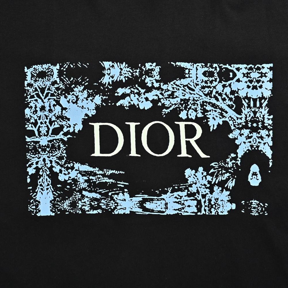 Dior T-shirts-421