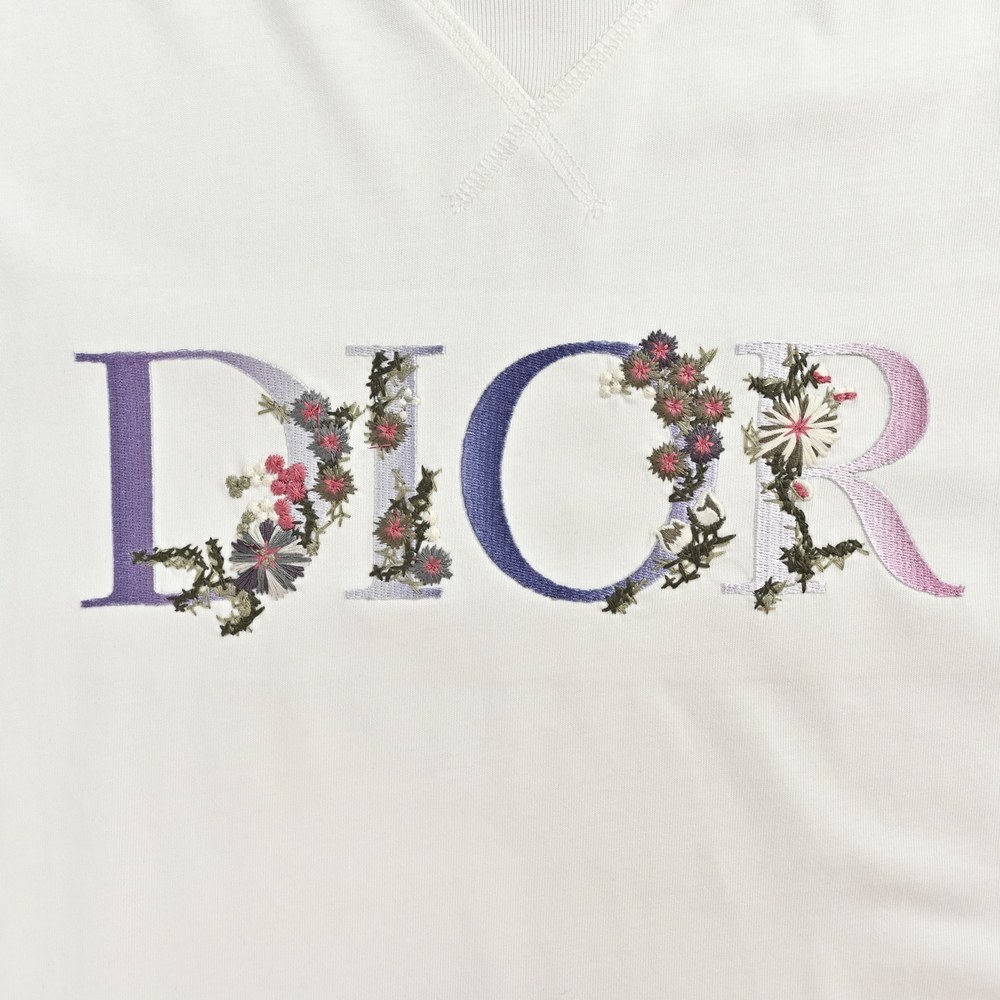 Dior T-shirts-299