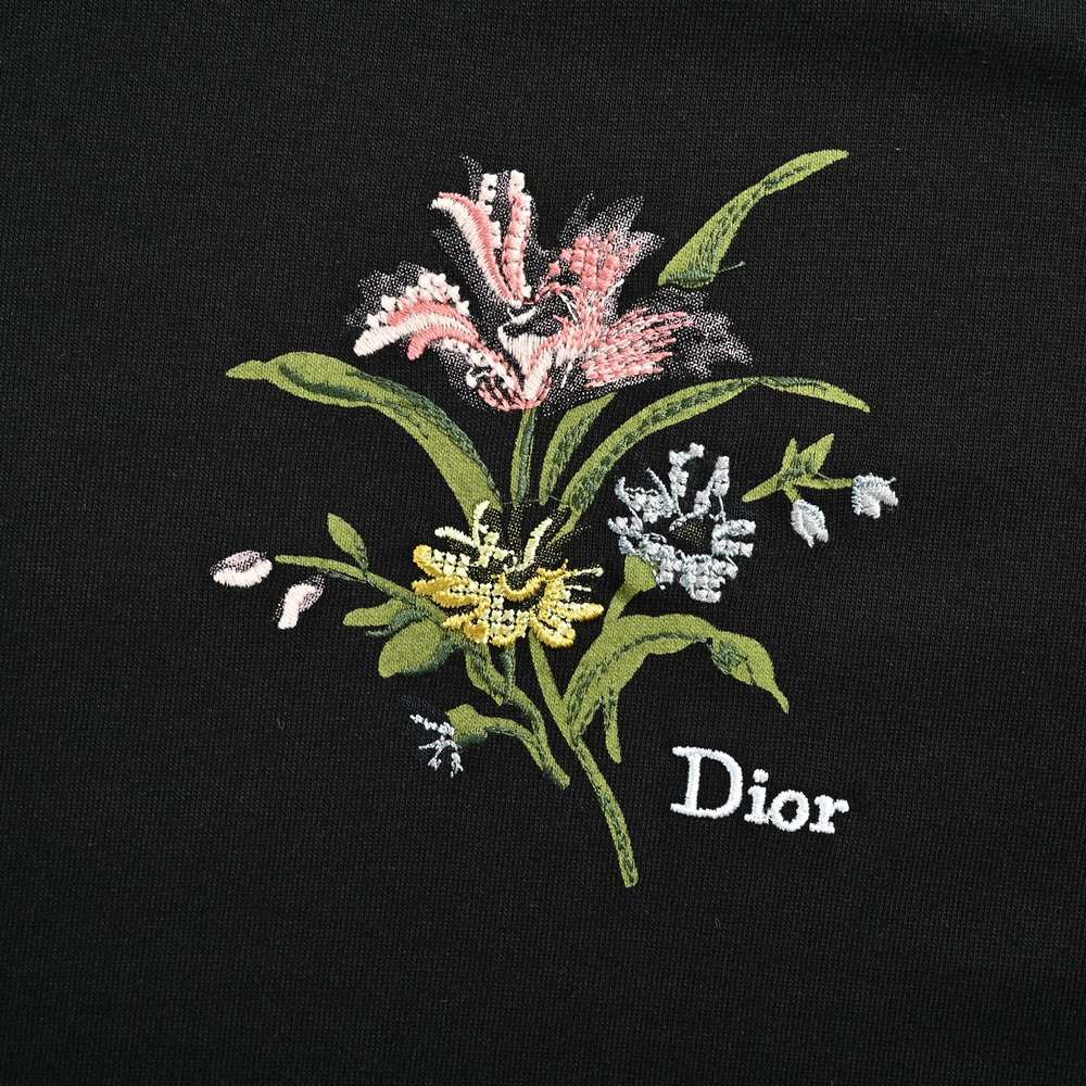 Dior T-shirts-451