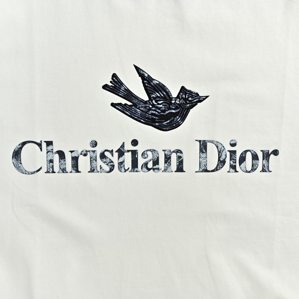 Dior T-shirts-380