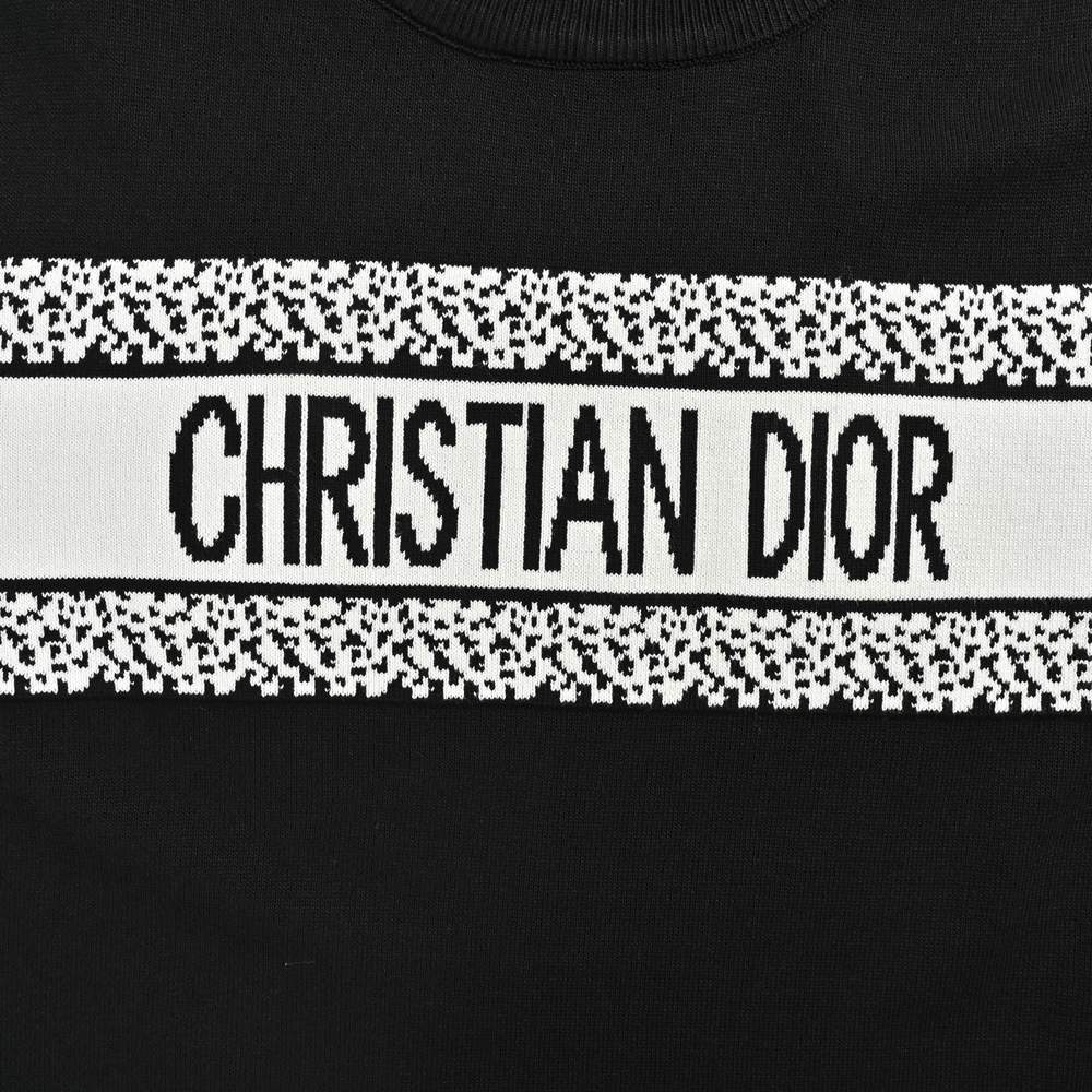 Dior Sweater-244