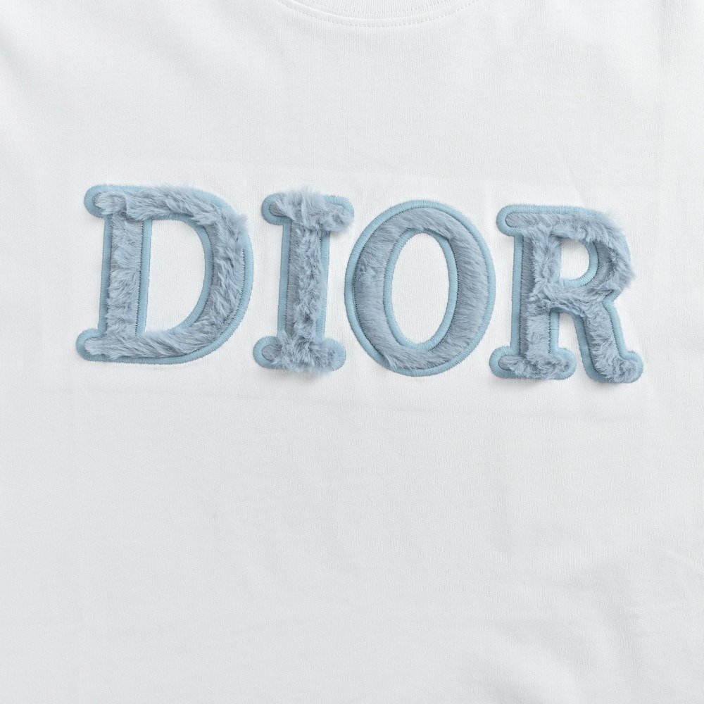 Dior T-shirts-378