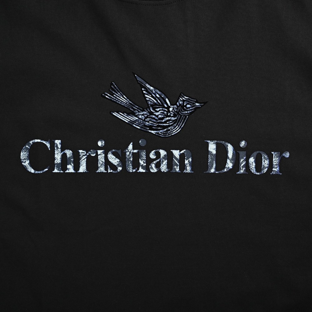 Dior T-shirts-379