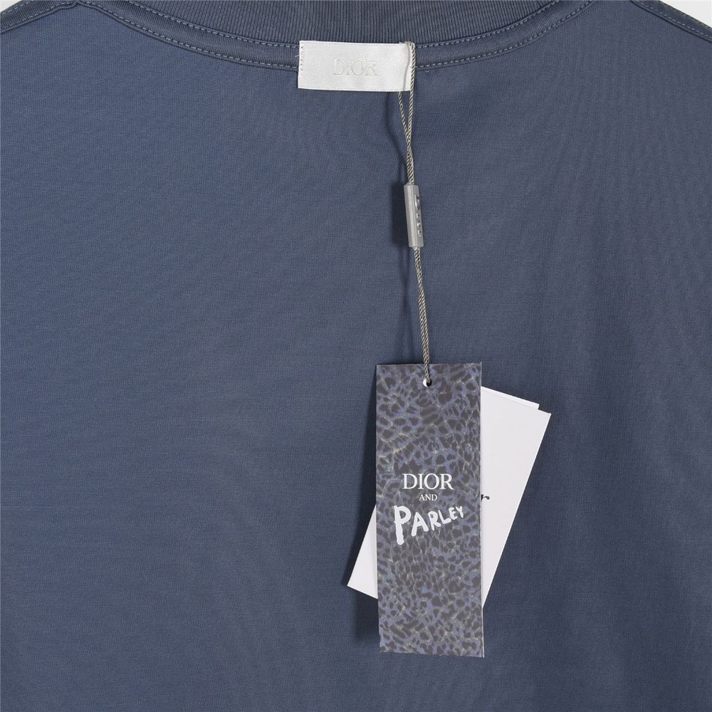 Dior T-shirts-359
