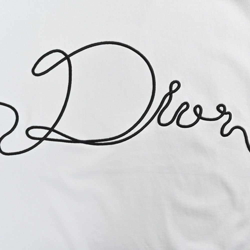 Dior T-shirts-391