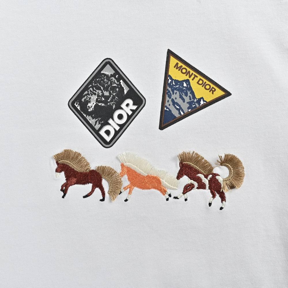 Dior T-shirts-331