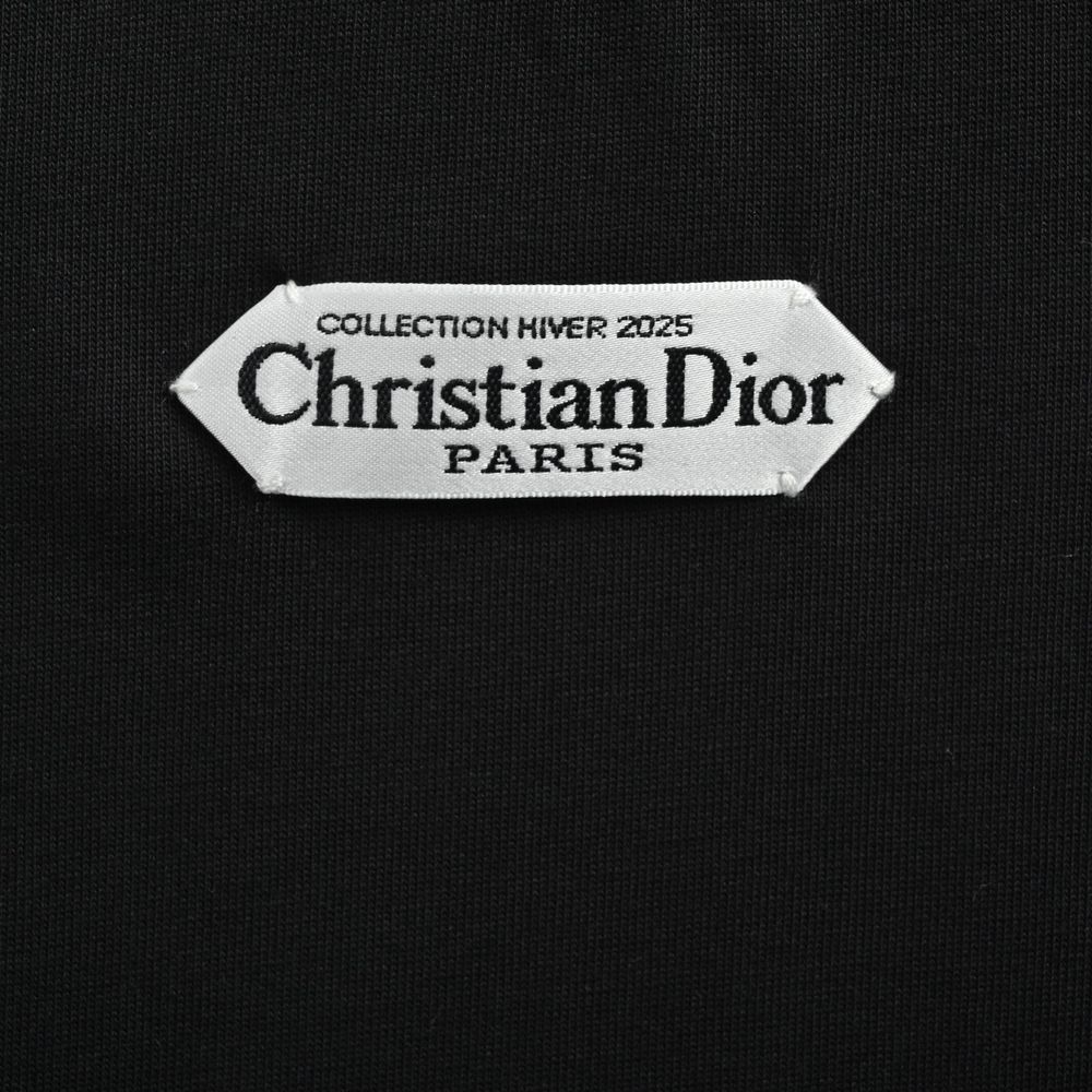 Dior T-shirts-447