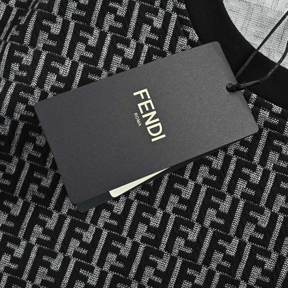 Fendi T-shirts-702