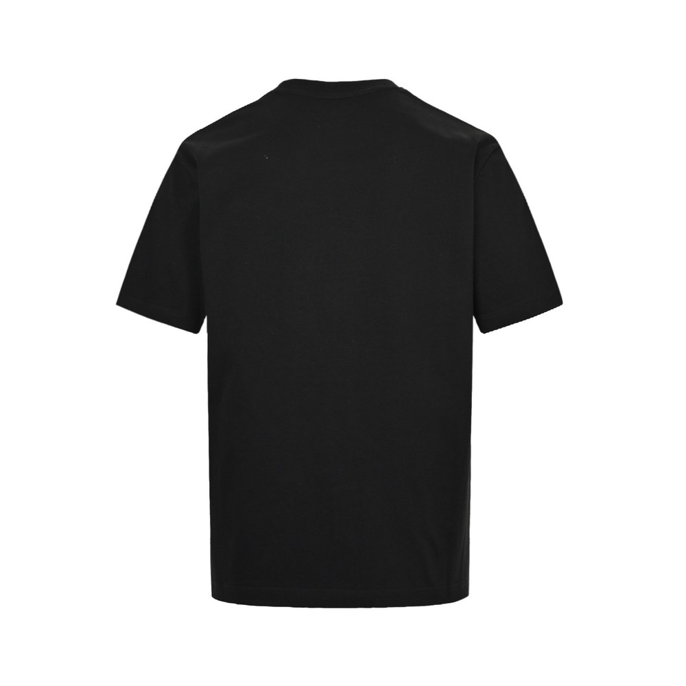 LV T-shirts-2452