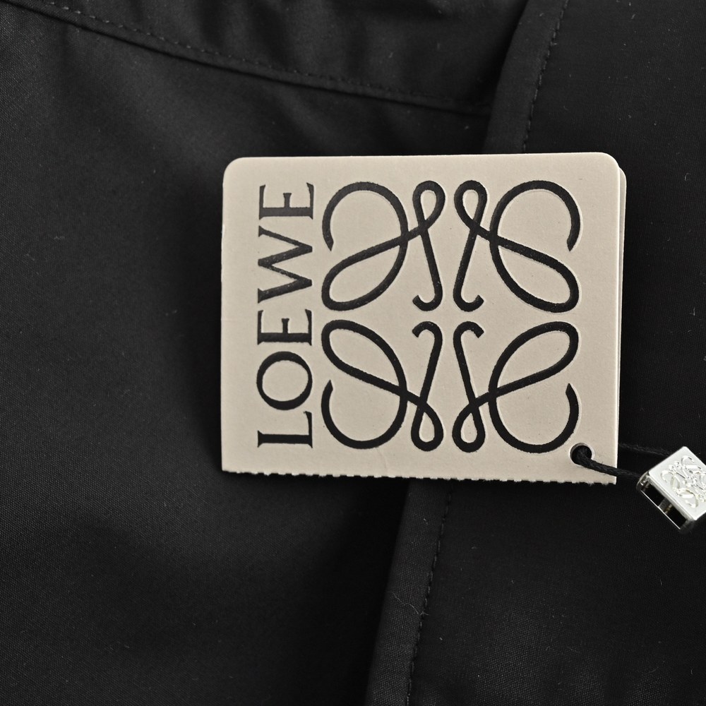 LOEWE T-shirts-250