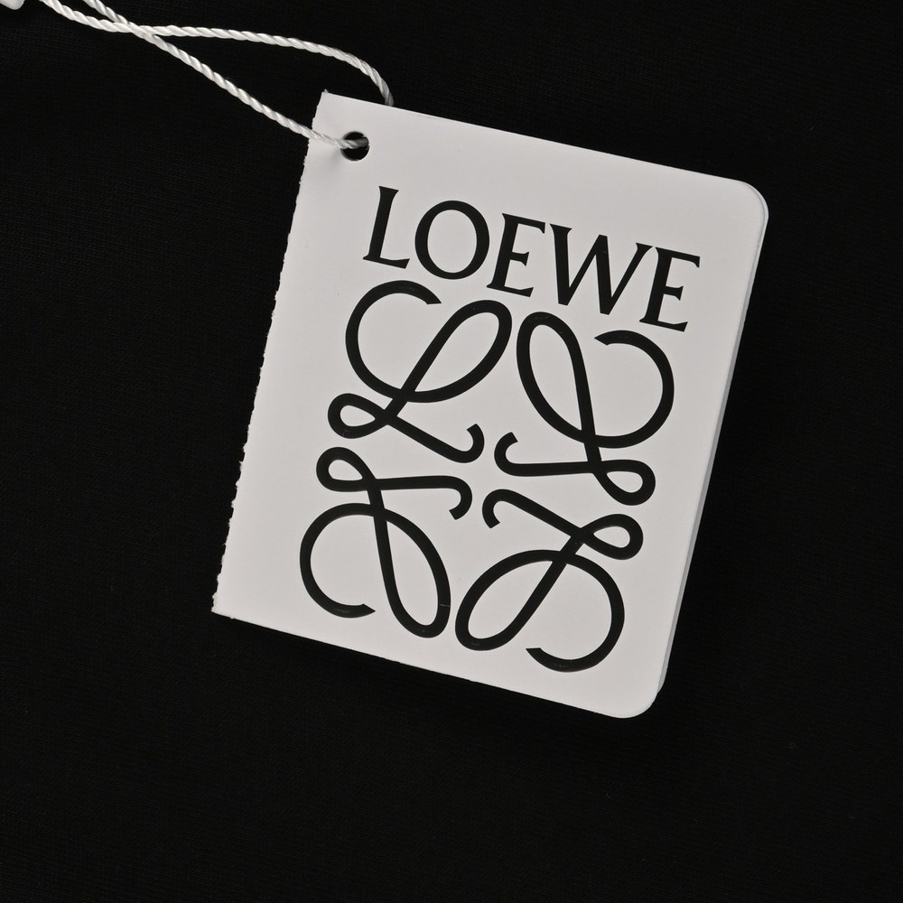 LOEWE T-shirts-270