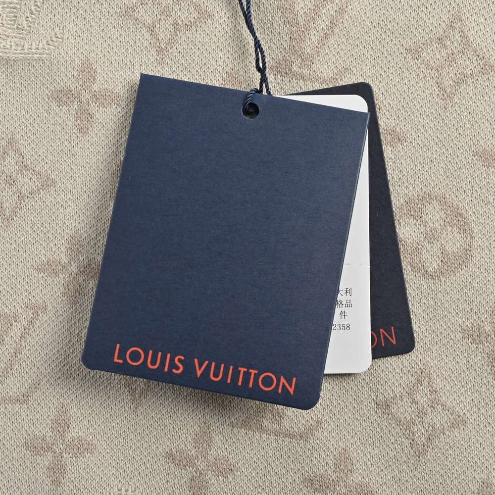 LV T-shirts-2891