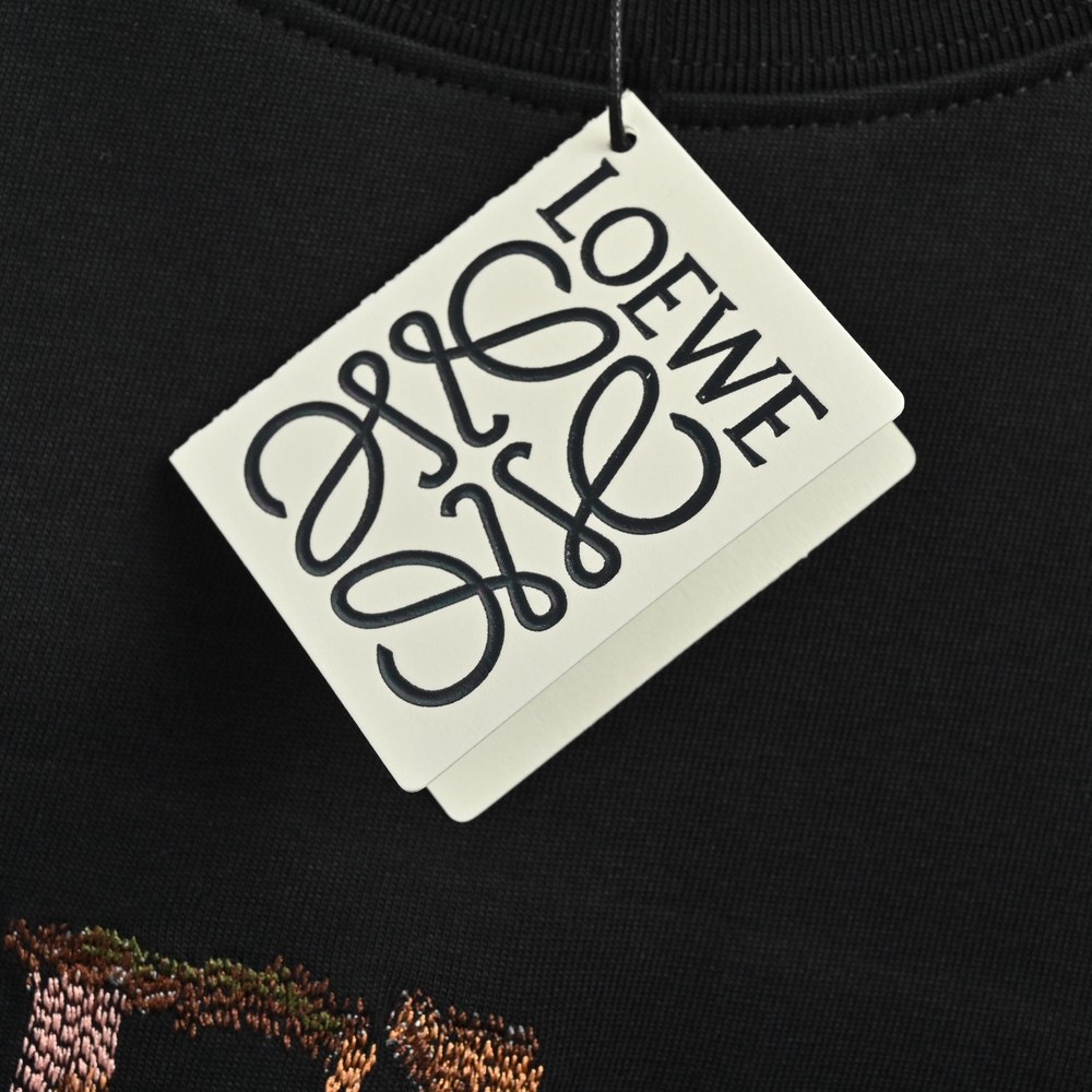 LOEWE T-shirts-194