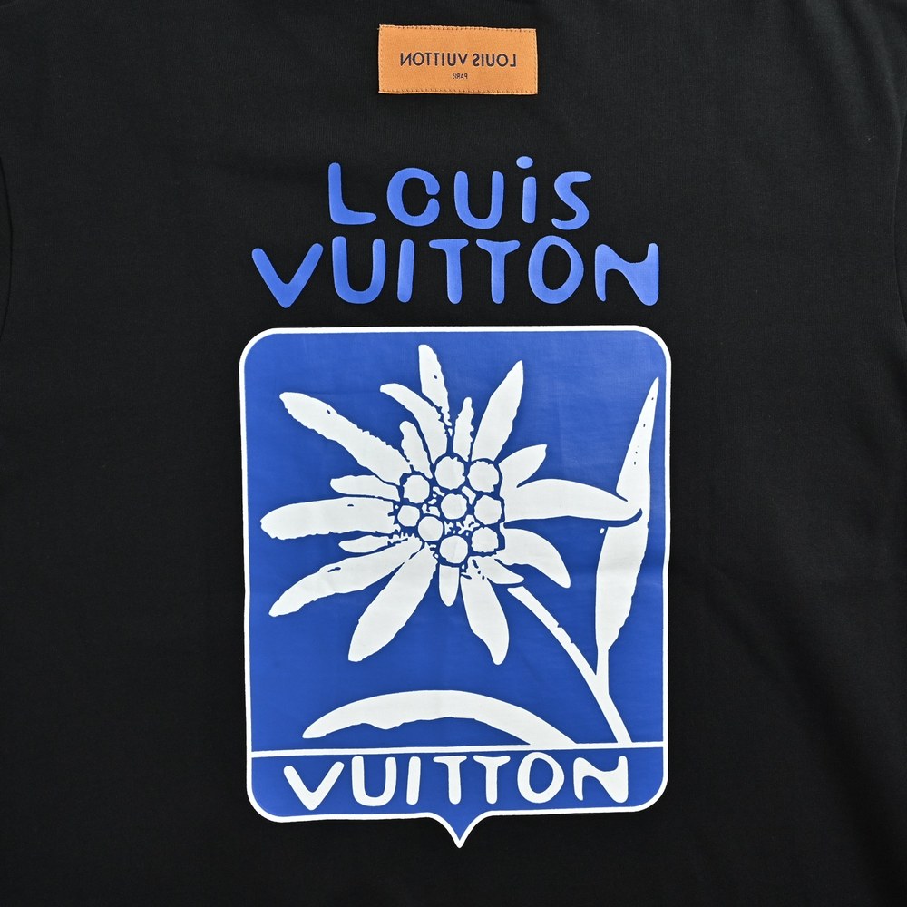 LV T-shirts-2684