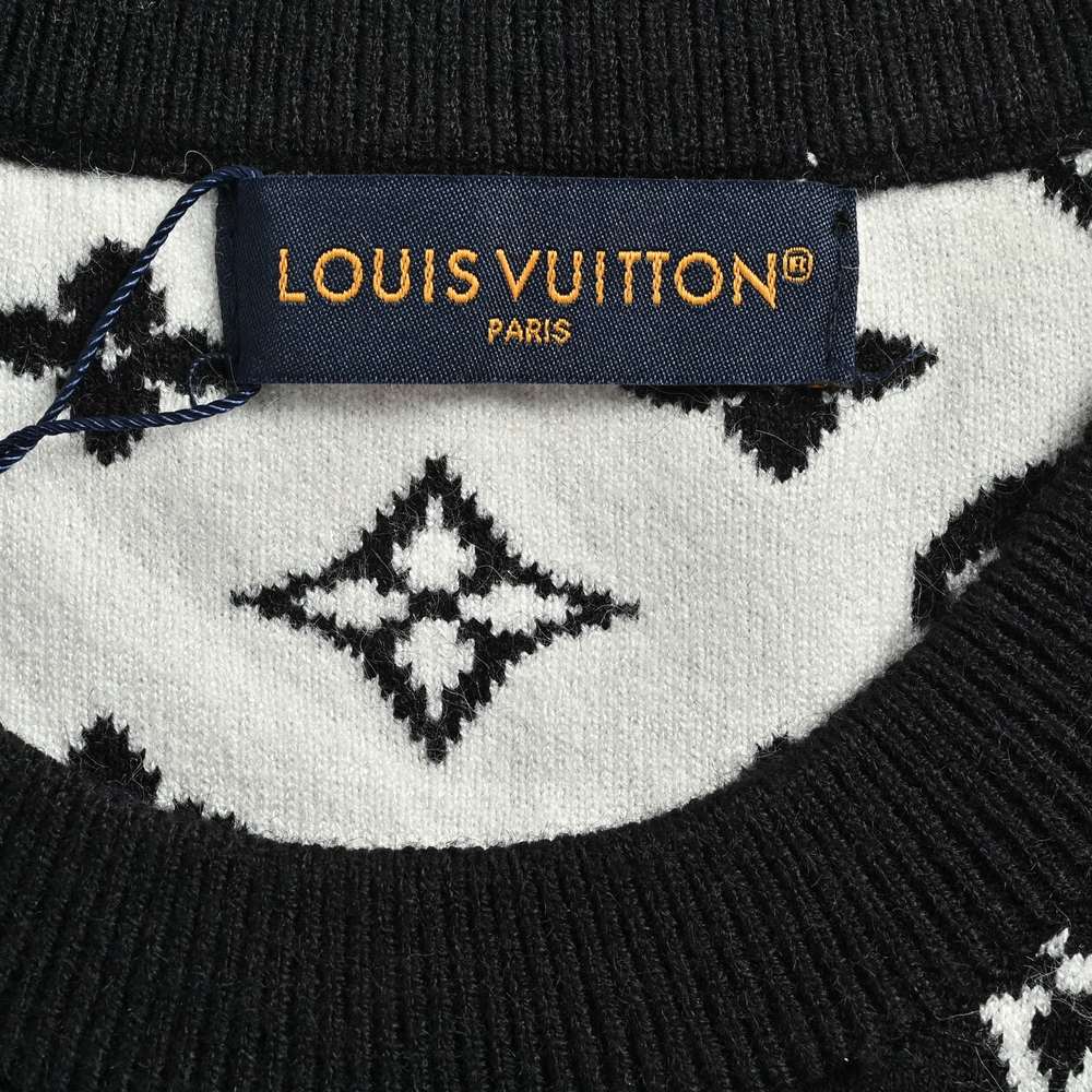 LV Sweater-484